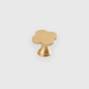 [RTR2512732] Lucky Clover Gold Brushed Knob 