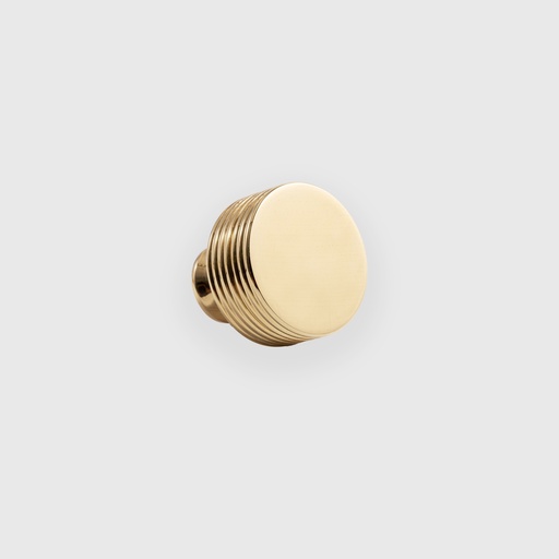[LJO2200030] Shiny Golden Flat Knob 