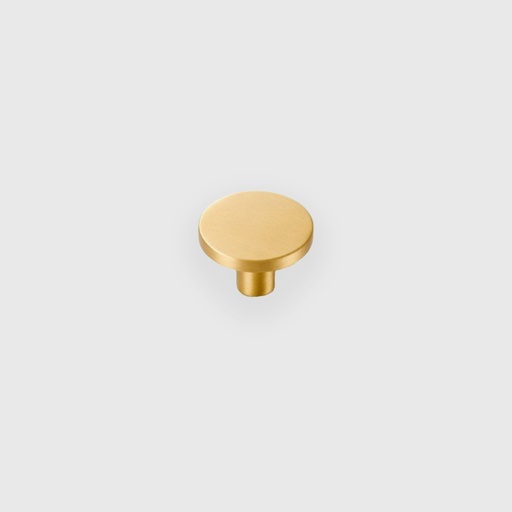 [RTR6200032] Matt Golden Round Knob 