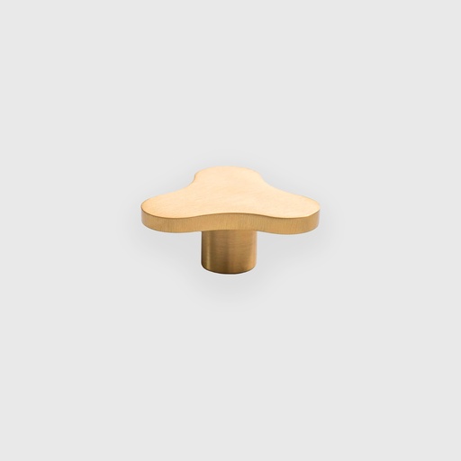 [RTR0472016] Y Shape Golden Brass Knob 