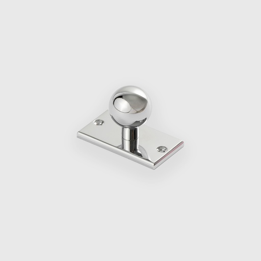 [LJO2513354] Polished Silver Backplat Knob 