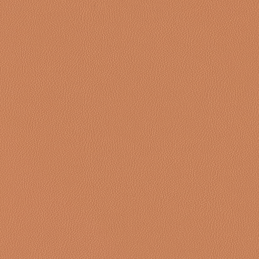 [Y-OL] Mars Y-OL 1F POLKO
