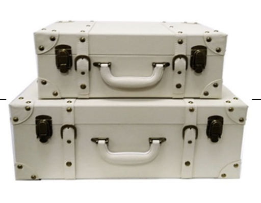 [STR2CSWH002] White leather zip tie case STS